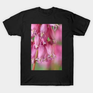 Dicentra T-Shirt